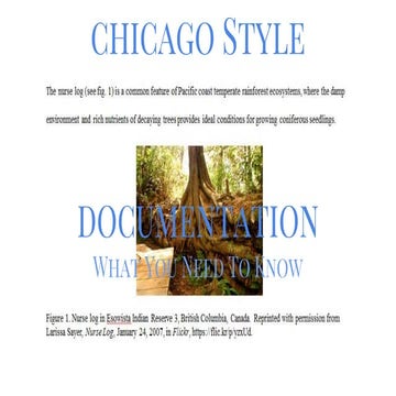 Chicago Style Documentation