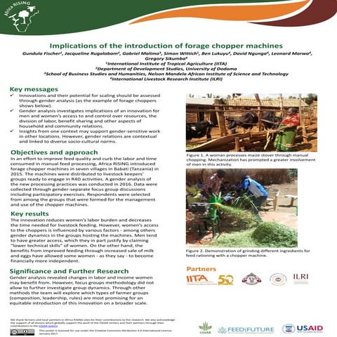 Implications of the introduction of forage chopper machines 