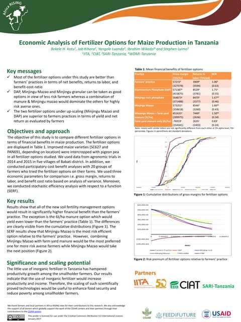Economic analysis of fertilizer options for maize production in ...