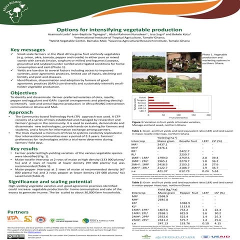 Options for intensifying vegetable production
