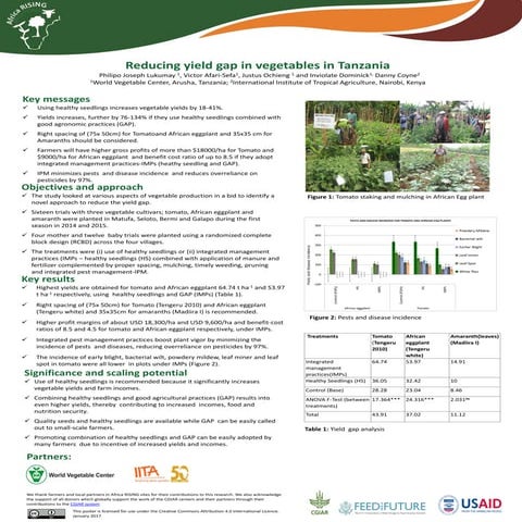 Reducing yield gap in vegetables in Tanzania