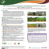 New crop and fodder genotypes for sustainable intensification in semi-arid ag...