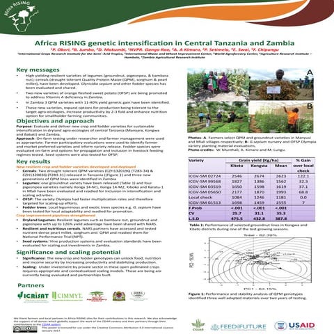 Africa RISING genetic intensification in Central Tanzania and Zambia