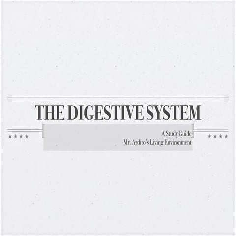 Ardito Digestive System Review