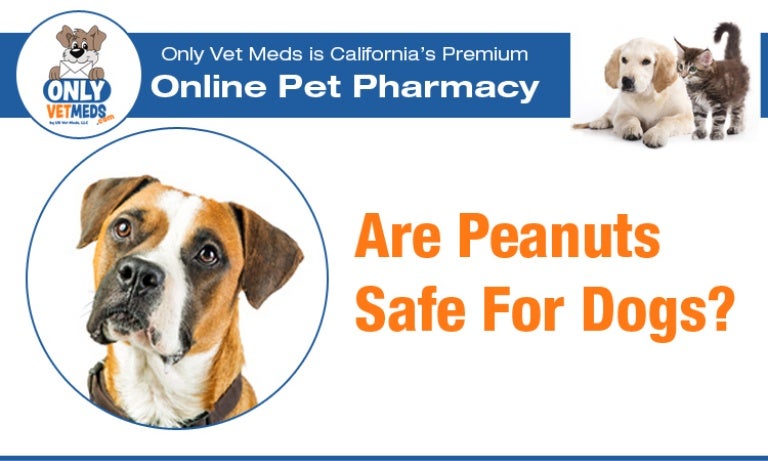 are peanuts harmful to dogs