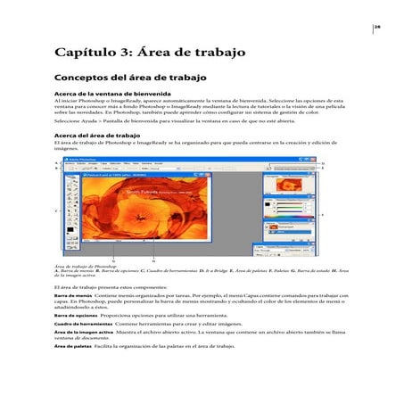 Area De Trabajo Y Herramientas
