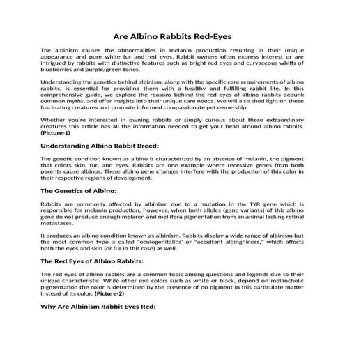 Are Albino Rabbits Red Eyes: Understanding Albino Rabbit Breed | DOCX