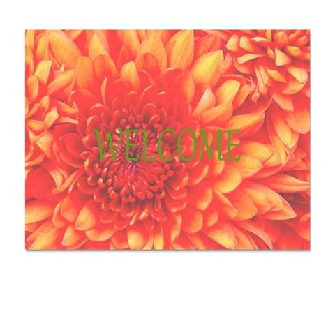 Area of rhombus.jpeg