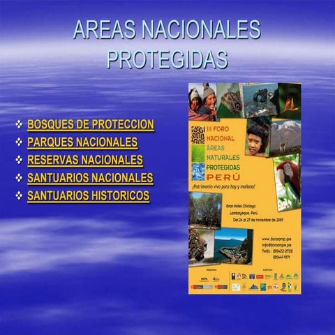 Areas nacionales