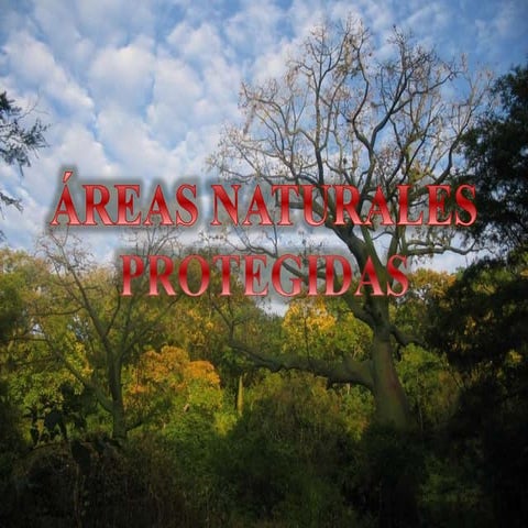 AREAS NATURALES PROTEGIDAS.pptx