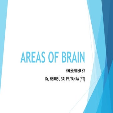 Areas of brain