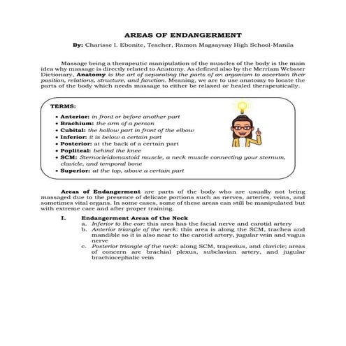 Areas of endangerment | PDF