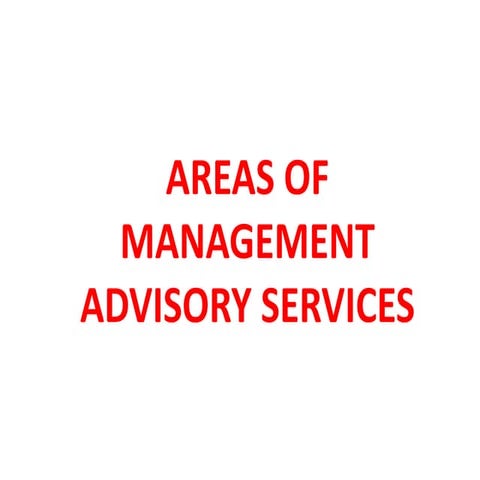 Areas of management advisory services