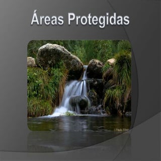 Areas protegidas
