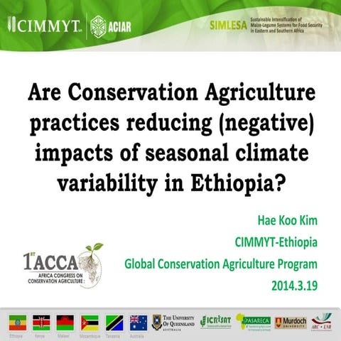 Are conservation agriculture practices reducing (negative) impacts of seasona...