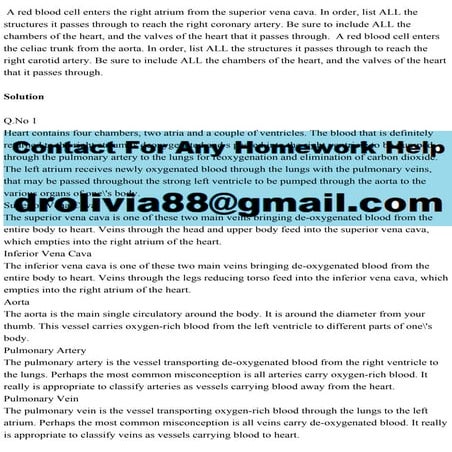 A red blood cell enters the right atrium from the superior vena cava..pdf