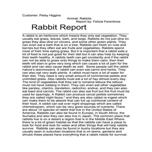 A report about rabbits