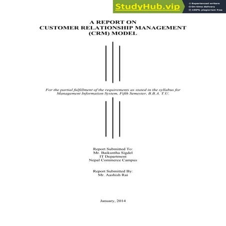 A Report On Customer Relationship Management (CRM) Model | PDF