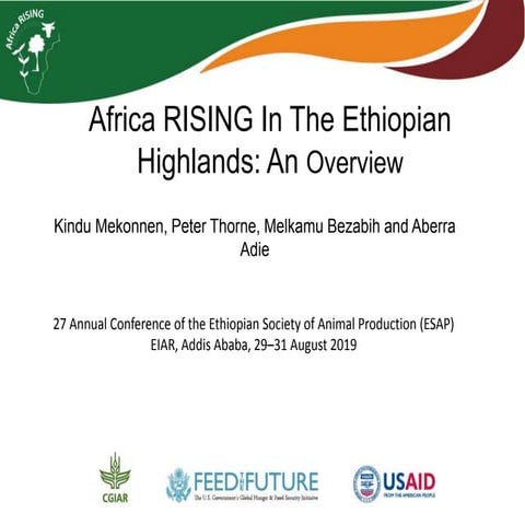 Africa RISING in the Ethiopian Highlands: An overview
