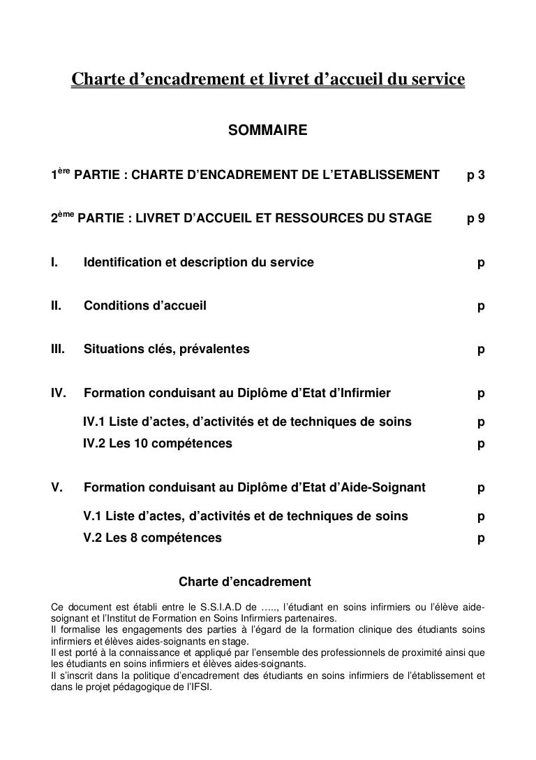 Modèle Objectif De Stage Aide Soignante Ssiad