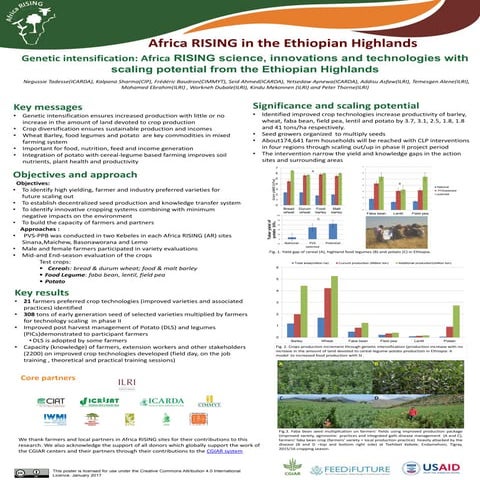 Genetic intensification: Africa RISING science, innovations and technologies ...