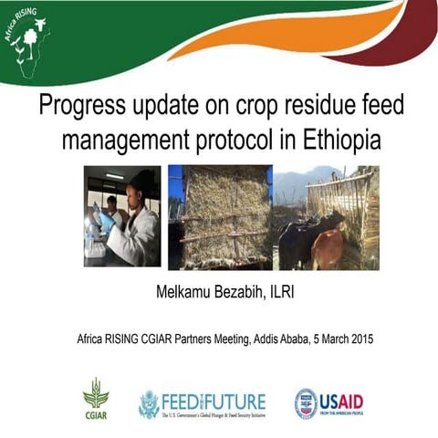 Progress update on crop residue feed management protocol in Ethiopia