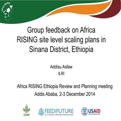 Group feedback on Africa RISING site level scaling plans in Sinana District, ...
