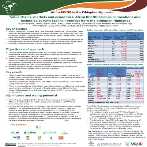 Value chains, markets and economics: Africa RISING Science, Innovations and T...
