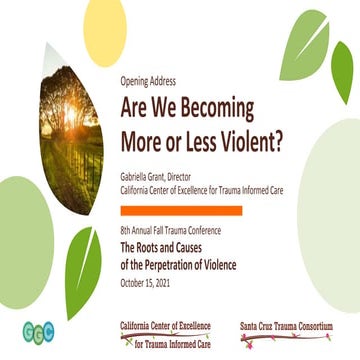 Are We Becoming More or Less Violent?