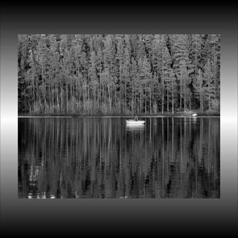 Are we grateful enough for the colours we can see