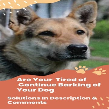 Are You Struggling with your dog's excessive barking | PDF