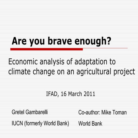 Are you brave enough? Economic evaluation of climate change adaptation projects
