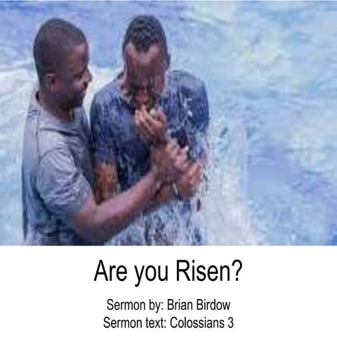 Are you risen? (Colossians 3)