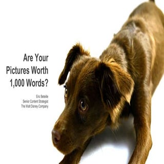 Are your pictures worth 1,000 words...