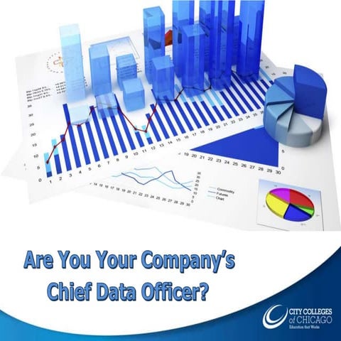 Are You Your Company's Chief Data Officer?