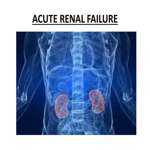 Acute Renal Failure Overview