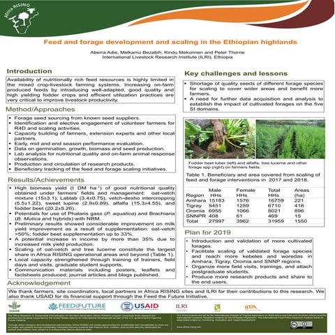 Feed and forage development and scaling in the Ethiopian highlands 