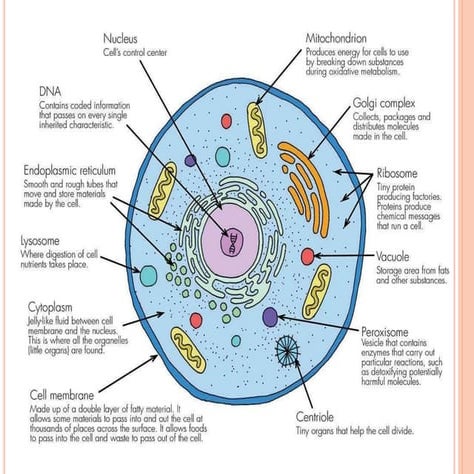 argent topic and practical important topics
