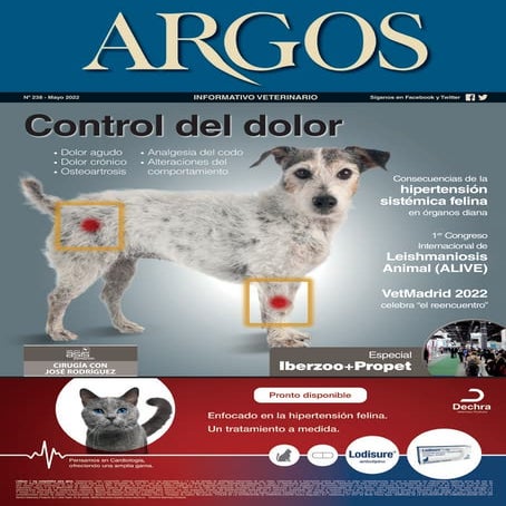 Revista . Argos. Control del dolor en animales de compañía | PDF