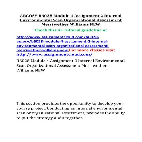 Argosy b6028-module-3-assignment-2-lasa-1-preliminary-strategy-audit-merriwet...