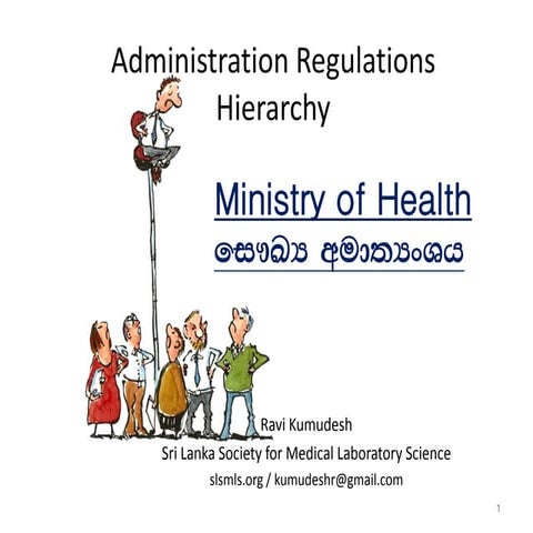Administration Regulations - Management Hierarchy for Ministry of Health