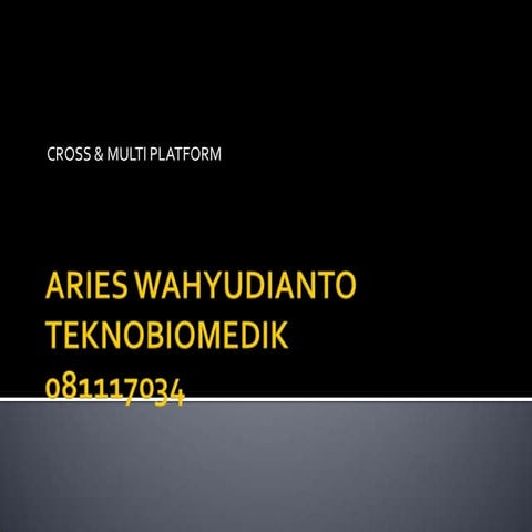 Bahasa Pemrograman mana yang TERBAIK untuk GUI | PDF