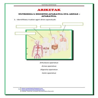 Ariketak LH 6, 1. gaia