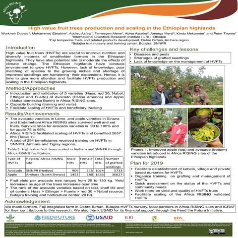 High value fruit trees production and scaling in the Ethiopian highlands 