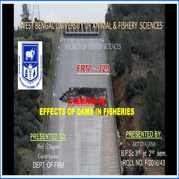 EFFECTS OF DAMS IN FISHERIES