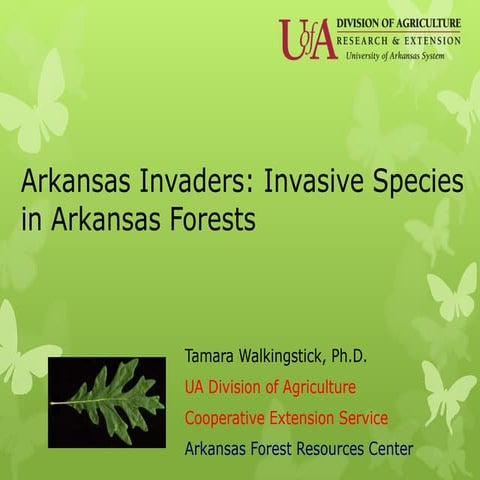 Arkansas Invaders: Invasive Species in Arkansas Forests