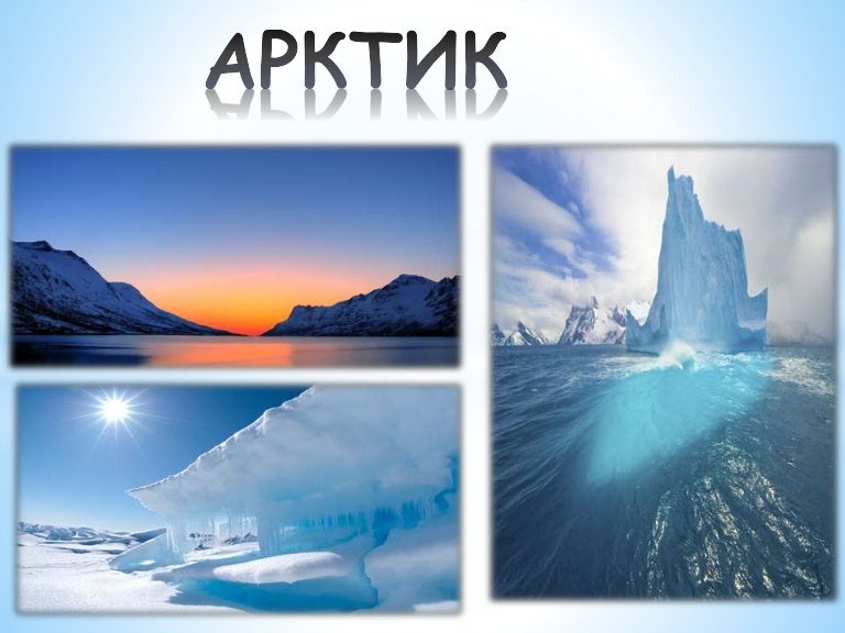 Арктик