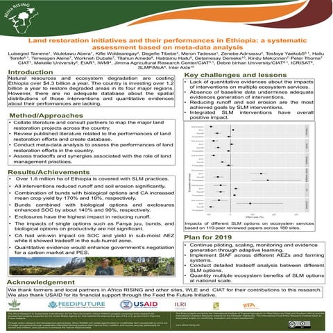 Land restoration initiatives and their performances in Ethiopia: A systematic assessment based on meta-data analysis