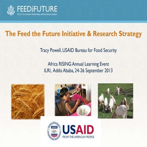 The feed the future initiative and research strategy