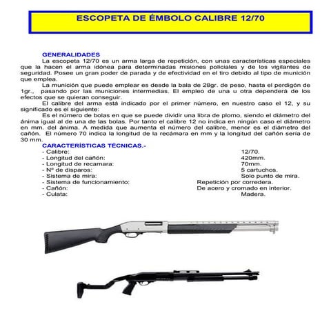 Armamento escopeta corredera